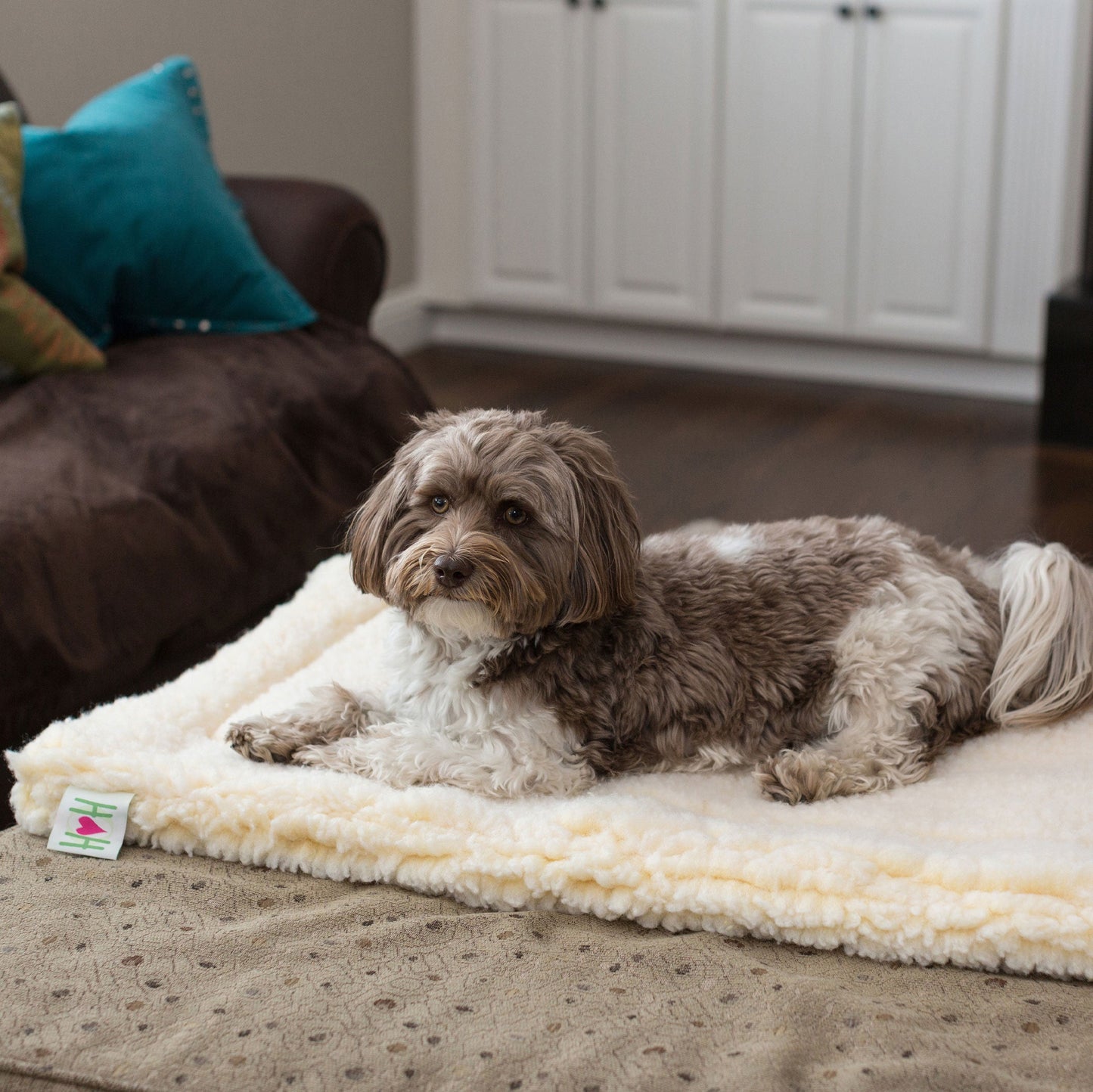 Taxs™ Ultra-Dense Fleece Mat Cushion - Washable Seamless Travel Bed for Cats & Dogs