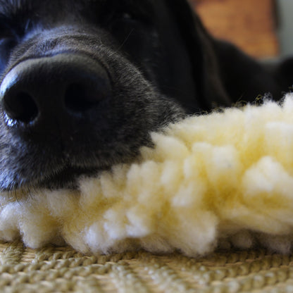 Taxs™ Ultra-Dense Fleece Mat Cushion - Washable Seamless Travel Bed for Cats & Dogs