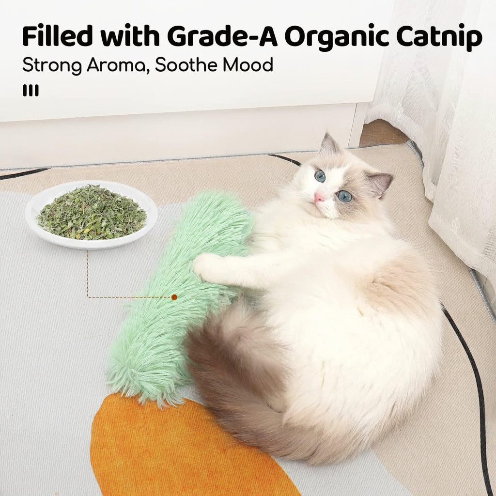 Taxs™ Interactive Catnip Plush Strip Pillow - Insured Pet Exercise & Play Toy
