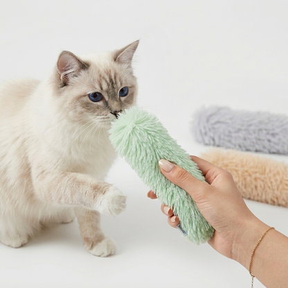 Taxs™ Interactive Catnip Plush Strip Pillow - Insured Pet Exercise & Play Toy
